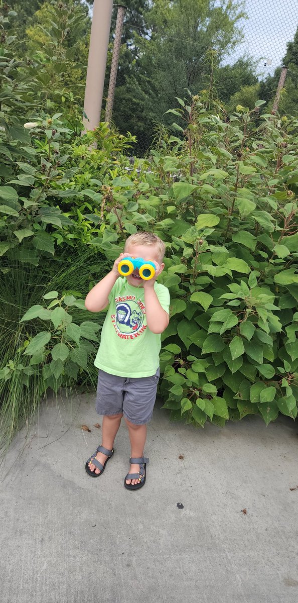 Jaymeeintulsa's tweet photo. Little explorer @TulsaZoo 

#tulsa #tulsaoklahoma #tulsasmallbusiness #tulsamom #oklahoma #oklahomacity https://t.co/2kg4hkrBRe