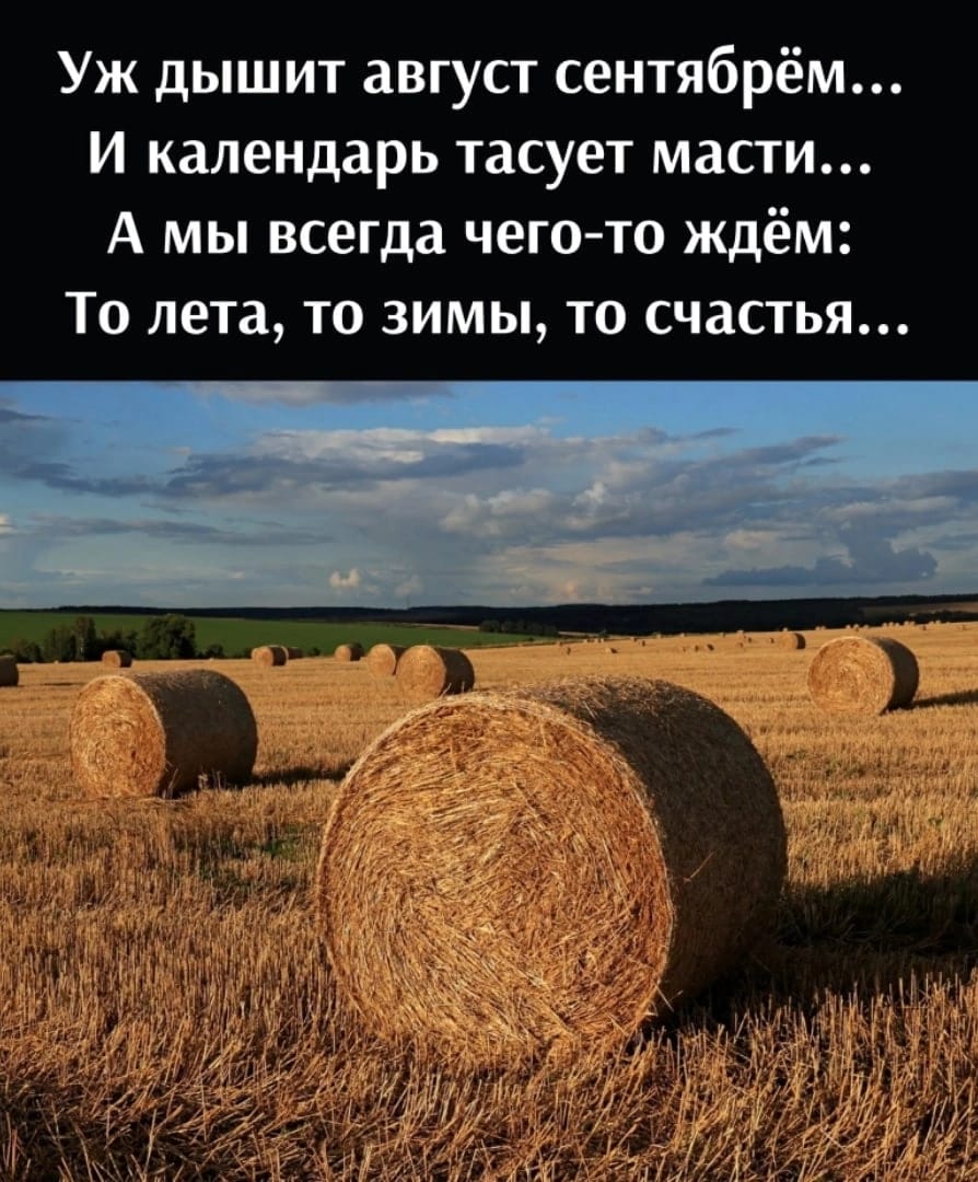 Золотые слова!!!
