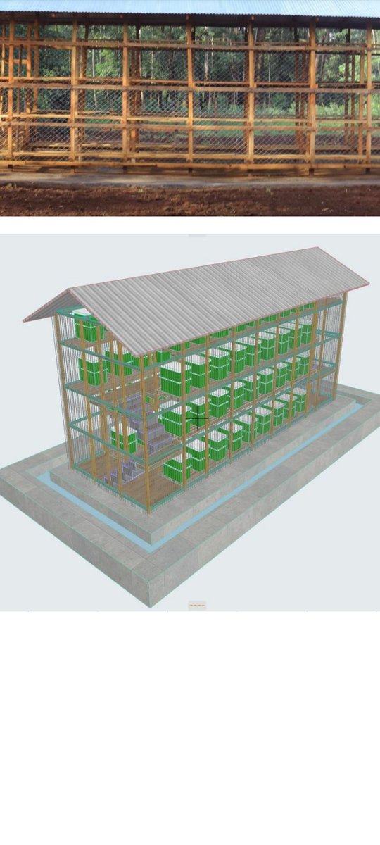 PeterMurumba4's tweet photo. @bodo_immink @LakeHub @giz_gmbh @capyeikenya @magharibihub @RafikiwaMaendel @AccelerationFor @ASSEKnews @smesupport_ke @KENIAupdates @DTC_Kenya @IrriHub @GermanyinKenya It's my dream to have such a beehouse one day https://t.co/6nI2bW4Xs3