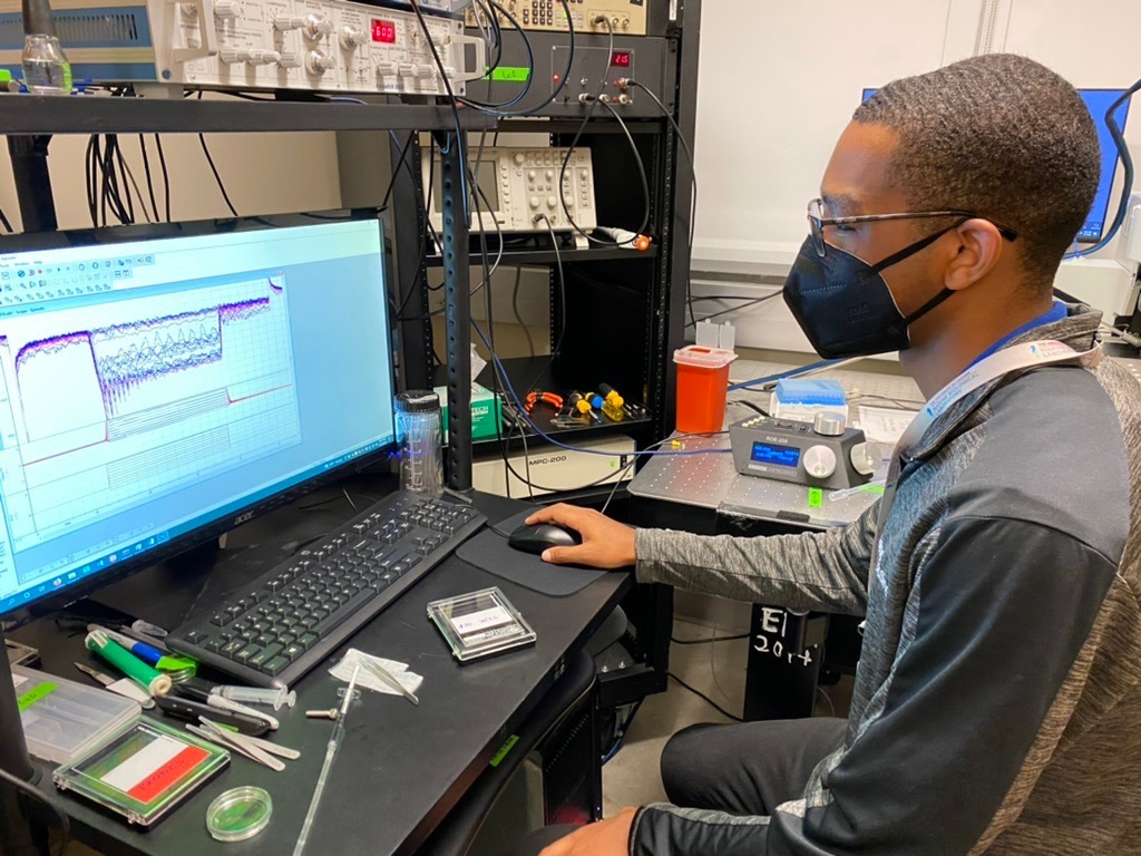 InnerEar_MBL tweet media