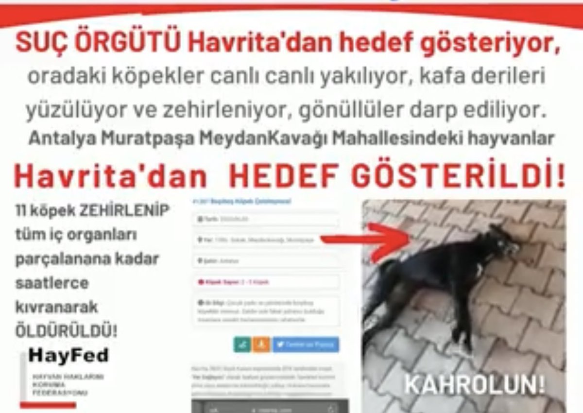 İnanılmaz..!! Bu uygulamaya da uygulama kullanıcılarına da diyecek laf bulamıyorum! #havritakapatılsın !! #antalyadakatliamvar
Onlar canavar değil, metroda yatan zavallı cana ölüm olduğun için sen canavarsın! Bu katil uygulama kabul edilemez! Utanç duyuyorum.. çok üzgünüm.