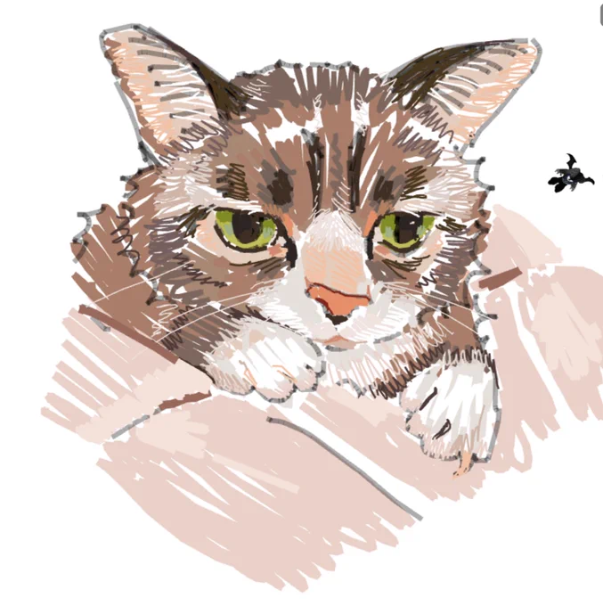 lil bub  