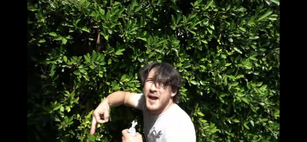 Rokenii's tweet photo. New reaction image just dropped. #markiplier #gmfst #sorrytyler https://t.co/6h5jqUPAOO