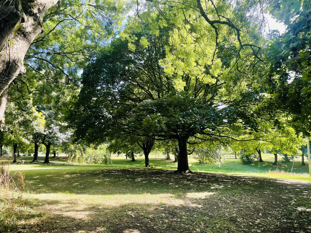 @DCarsonArch <a href="/UCDArch/">UCD Architecture</a> <a href="/hempcooperative/">Hemp Cooperative Ireland</a> #Limerick #TedRussellPark #100daysofwalking #PeoplesPark #Green #Nature #LimerickEdgeEmbrace