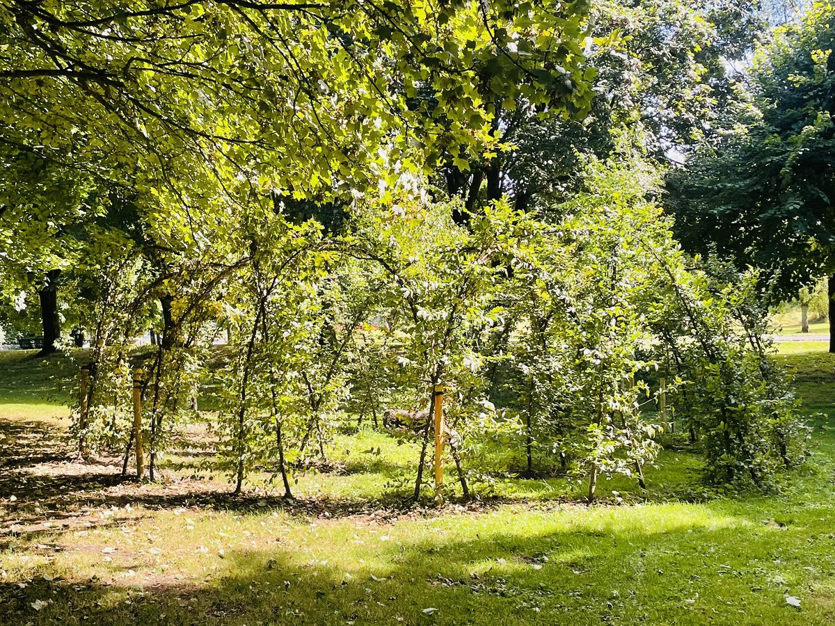 SeanRyanT's tweet photo. @DCarsonArch @UCDArch @hempcooperative #Limerick #TedRussellPark #100daysofwalking #PeoplesPark #Green #Nature #LimerickEdgeEmbrace https://t.co/Jr3bamDX5U