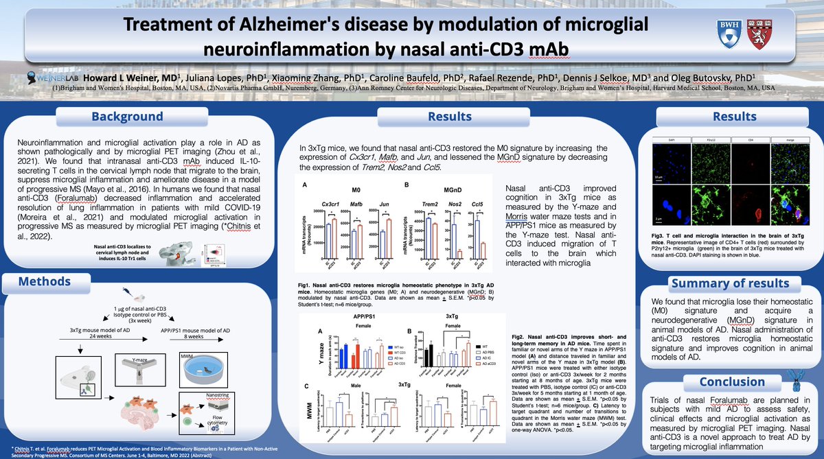 Presented our exciting work on nasal anti-CD3 in Alzheimer's models at the Int'l AAIC Meeting in San Diego. Based on this we are planning to treat AD with nasal anti-CD3 (Foralumab) as we did in progressive MS. Here's the abstract and a link to my talk: bit.ly/3w0cvBC