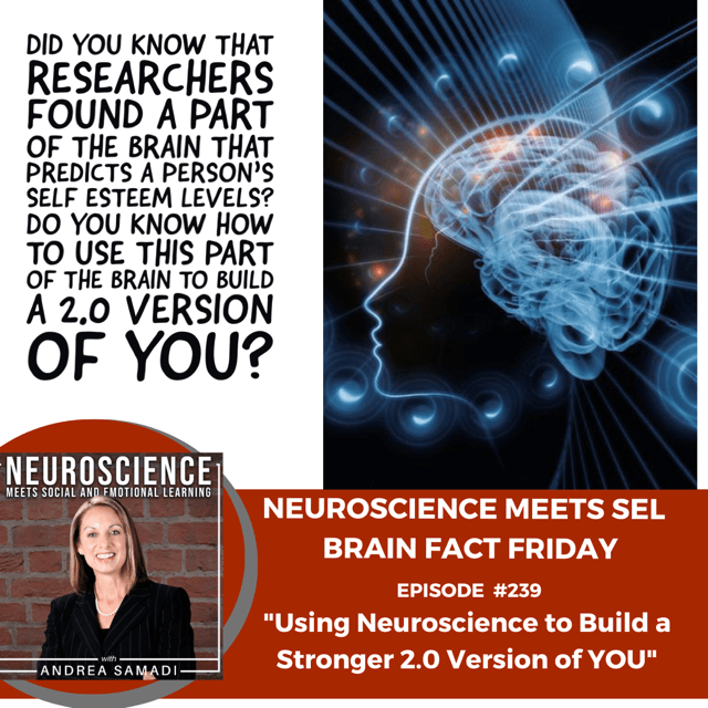 For this week's #Neuroscience Meets #SEL #Podcast #BrainFactFriday and EP239, DID YOU KNOW THAT researchers found a part of the #brain that predicts a person's #selfesteem levels? 

Listen bit.ly/3weXnQJ and learn how to use this part of the brain to build a better you!