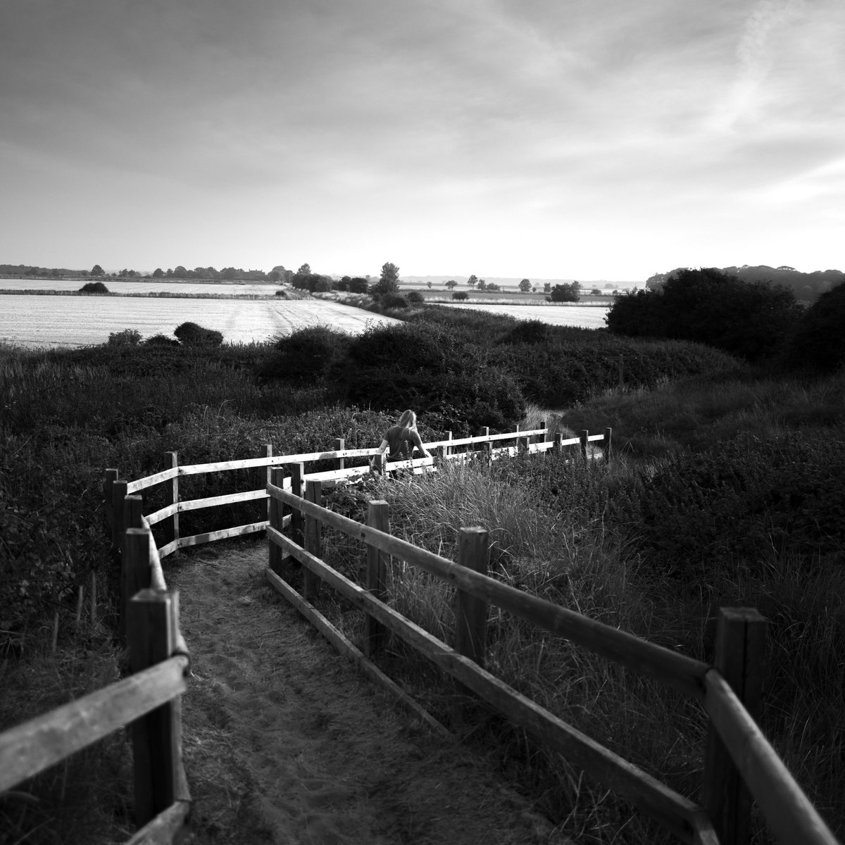 DanJFly's tweet photo. Seaside walks.
#leica #leicaq2 #bnw #blackandwhite #blackandwhitephotography #blackandwhitephoto #beach #norfolk #ThePhotoHour #photooftheday https://t.co/40z1KENa4u
