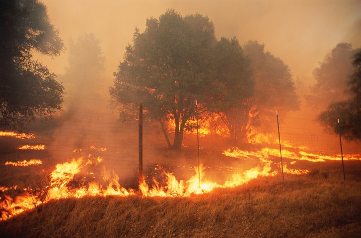 iiiorg's tweet photo. .@iiiorg offers #insurance tips to homeowners affected by the #McKinneyFire, including documenting the damage and promptly filing claims: https://t.co/9psg7DHgIk @InsuringCAL #wildfireinsurance https://t.co/Ego3yMhRoF