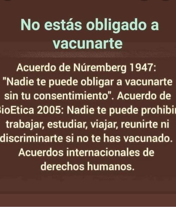 Alon tweet media