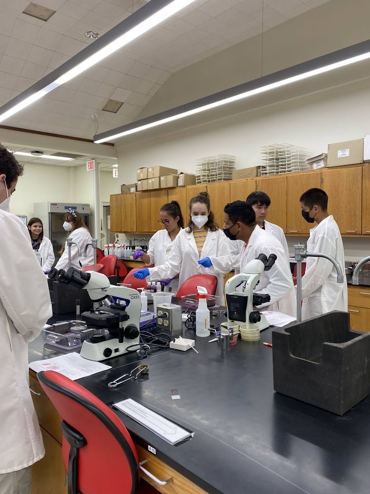 uiowamicrobio's tweet photo. Several staff from the Department investigate the causes of Bacterial Meningitis with Indigenous High School students from the Iowa First Nations Summer Camp this summer. @TheresaHo_Micro @UIowaMicroDEI https://t.co/OZIv5GeHV9