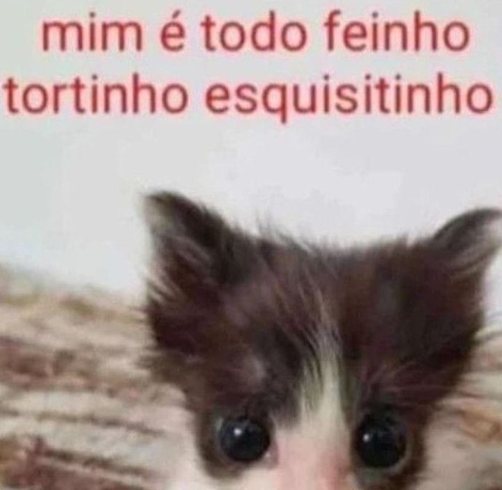 Frases aleatórias em baixa qualidade (@fraseslowqualit) on Twitter photo 