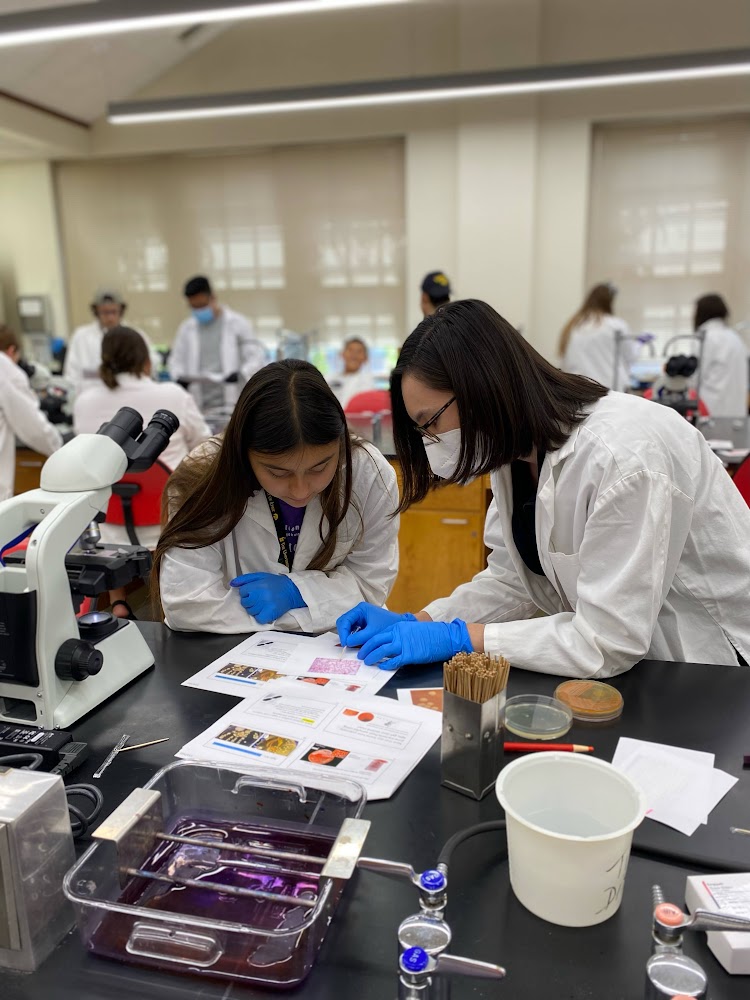 uiowamicrobio's tweet photo. Several staff from the Department investigate the causes of Bacterial Meningitis with Indigenous High School students from the Iowa First Nations Summer Camp this summer. @TheresaHo_Micro @UIowaMicroDEI https://t.co/OZIv5GeHV9