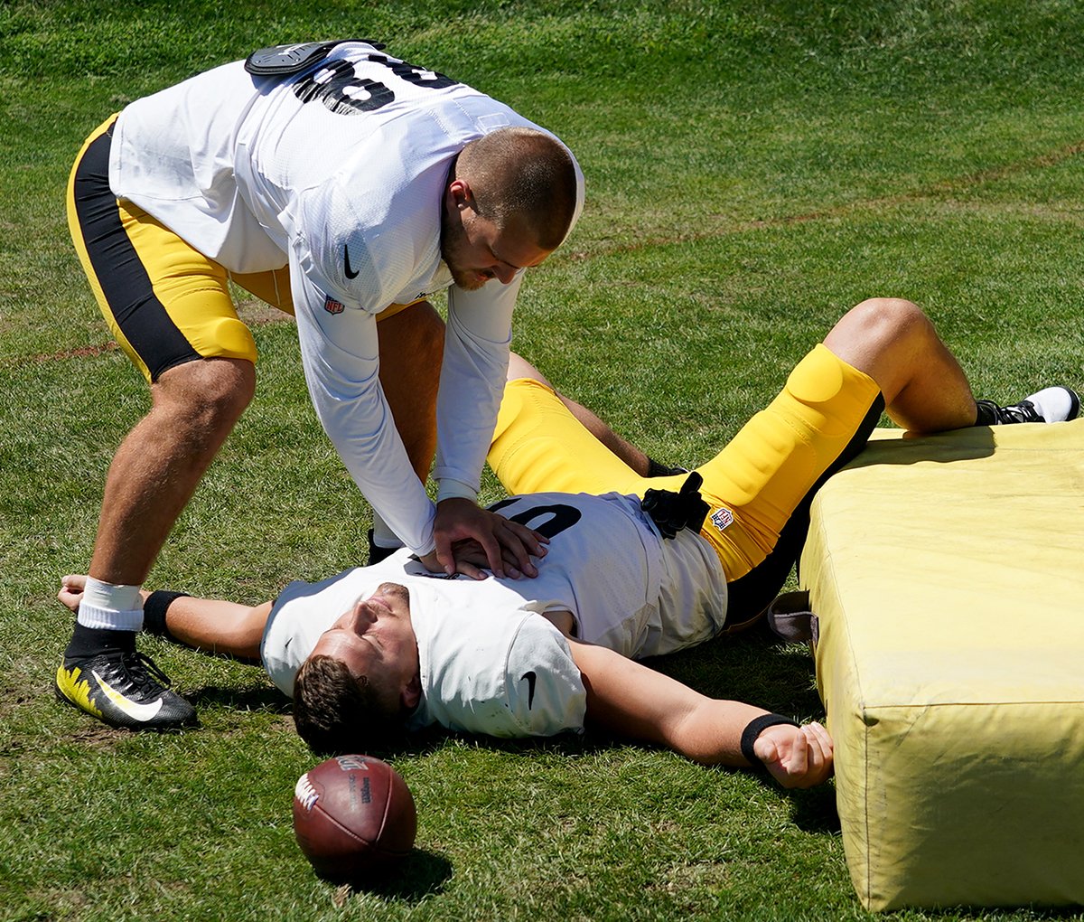 Matt Freed tweet media