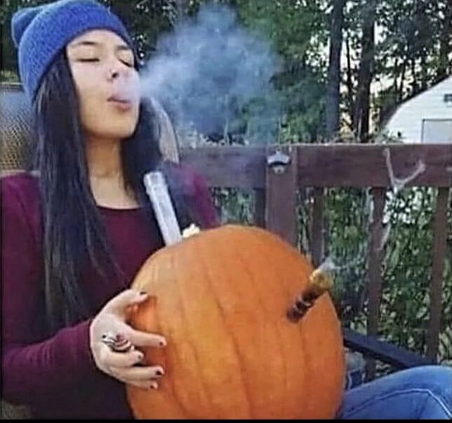 CashCropNFT's tweet photo. Everyone: Sucks that summer is emding

Me:

#420life #NFT #NFTCommunity #NFTProject https://t.co/PT70Tuq532