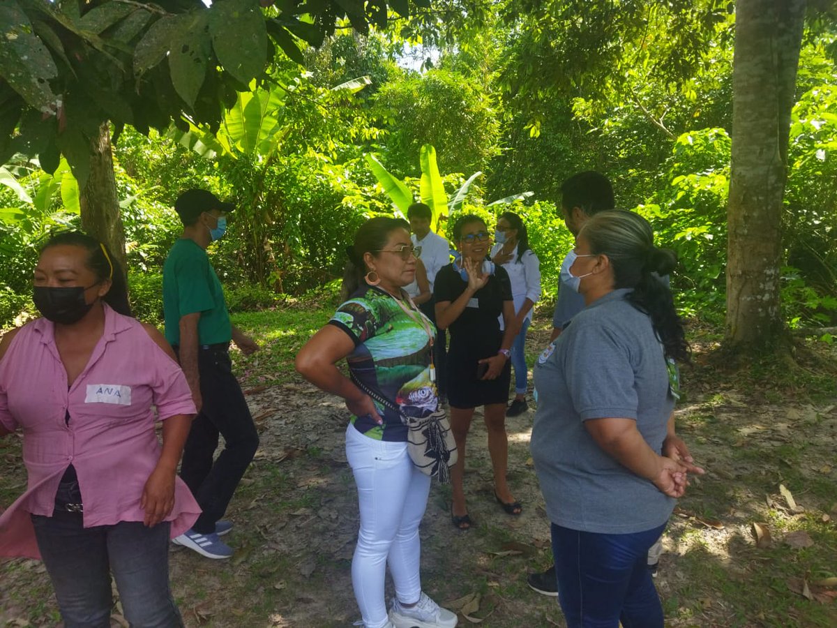 UKinColombia's tweet photo. Hemos alcanzado más de 360 profesores 🤯de @SEDAtlantico @SecEducacionAnt,@SecEducaCundi @SED_CAQUETA, @SEQuibdo @SecretariadeGo6 con nuestro taller #PorLaVidaSilvestre.
Gracias por su entusiamos y compromiso con el cuidado de la biodiversidad #Humming4change🐦
¡Vamos por más!🤓 https://t.co/nrIYBs0eJ9
