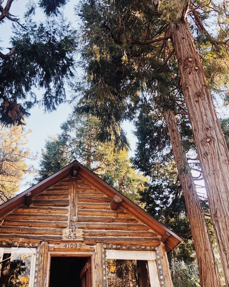 Megan_P_Cook's tweet photo. Bonfire Hearts | Rated E | 9.3k 🏕

“Oh, Hermione! There’s one more thing.”

“Yes?” she asks, twisting her head over her shoulder. 

“I’m afraid you’ll be sharing this year. We had another volunteer sign up last minute.”

Written for the @HPAUfest 💛

🔗:https://t.co/gALe228fiG https://t.co/JemRiLHtc6