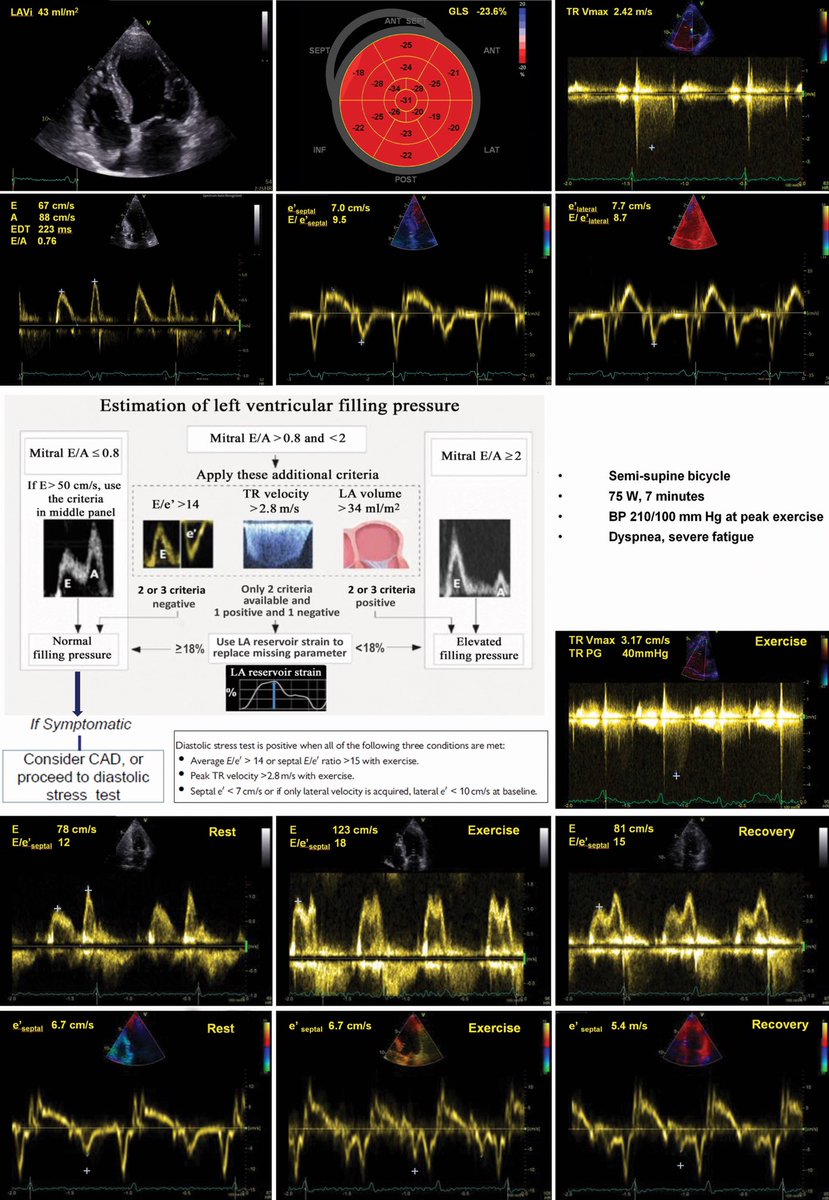 Henry Han tweet media