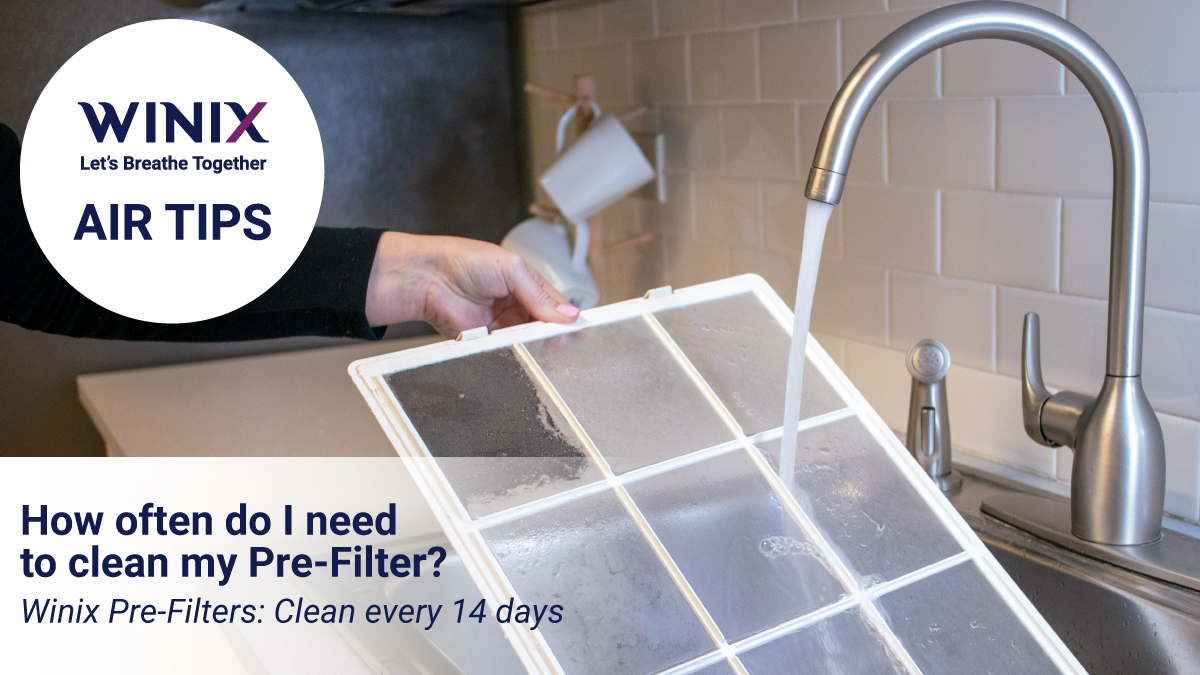 WinixAmerica's tweet photo. Winix Fine Mesh Pre-Filters are the first line of defense against the largest airborne particles found indoors - did we mention they are washable? 🙌 
#winixamerica #letsbreathetogether #airpurifier #indoorairquality #prefilter https://t.co/OGY3lsQ5Pa
