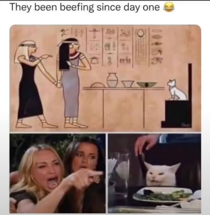 LessThanMemes's tweet photo. The History of this Meme https://t.co/x8BJuSULJf