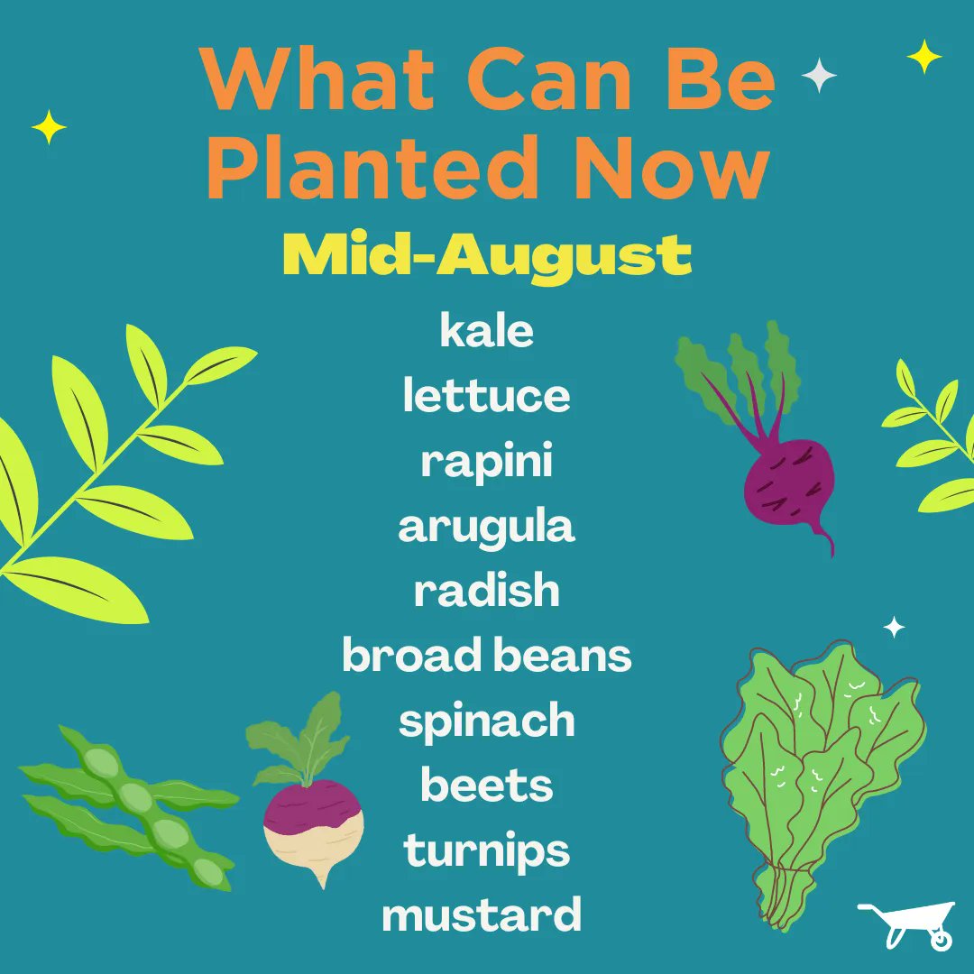 WithrowMarket's tweet photo. It's the dog days of summer and some might think the gardening season is over, but that's far from true! 🌱 Now's the perfect time to start plant things like kale, beans, lettuce, beets and more to get an Autumn harvest. 🍂 Stop by our Community Seed Library this Saturday ☺️ https://t.co/Hq3sB3Q2l0