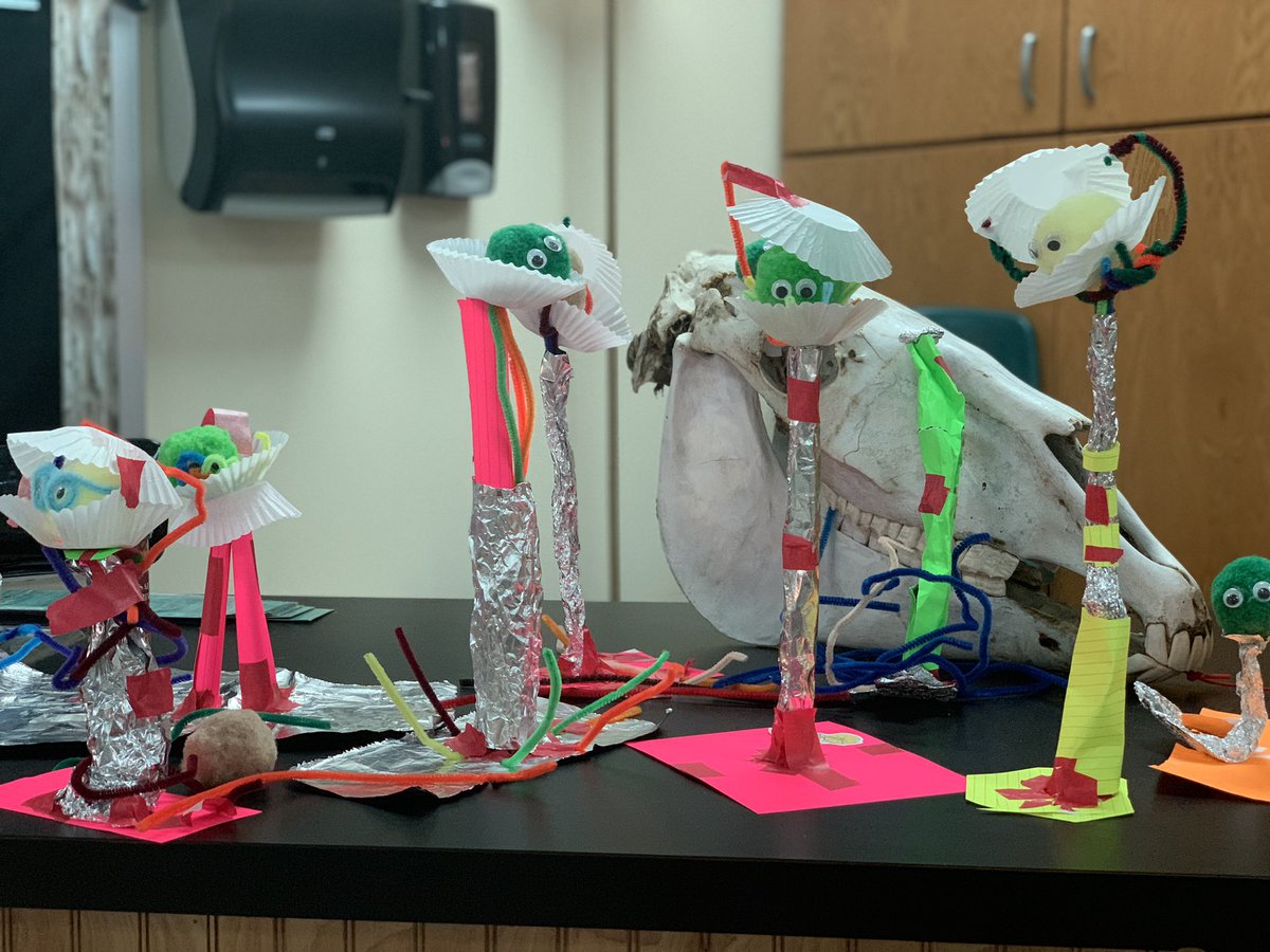 KKuoScience's tweet photo. 7th Graders “Helping Harry” by building a learning perch! 💚 #wearereynolds #prosperproud @PISDReynolds https://t.co/GraiQ4GT41