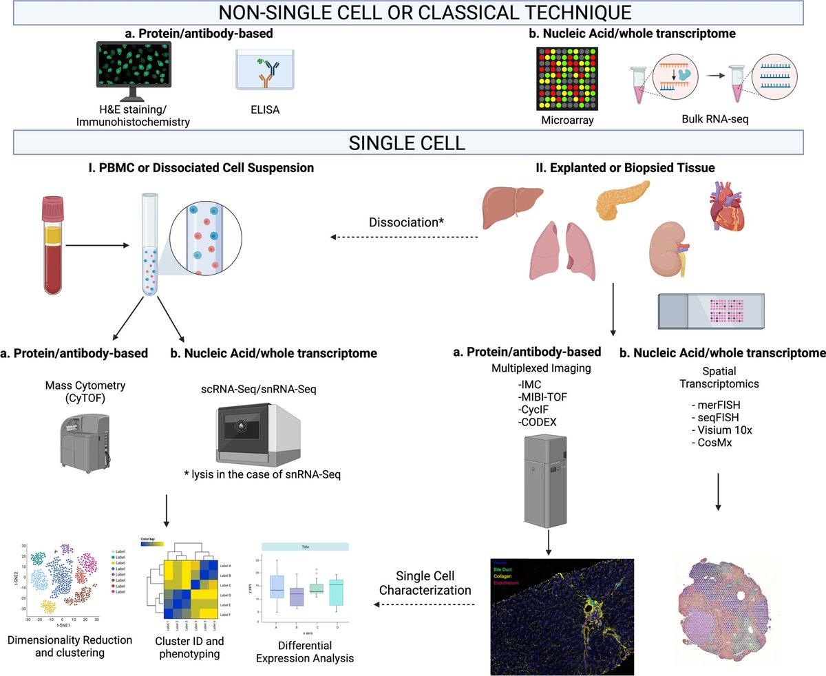 Biomage tweet media