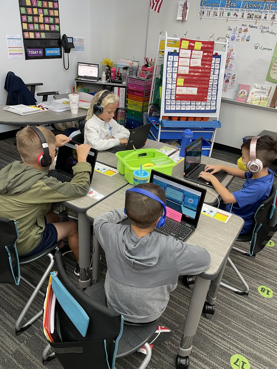 Elizabeth Adams tweet media