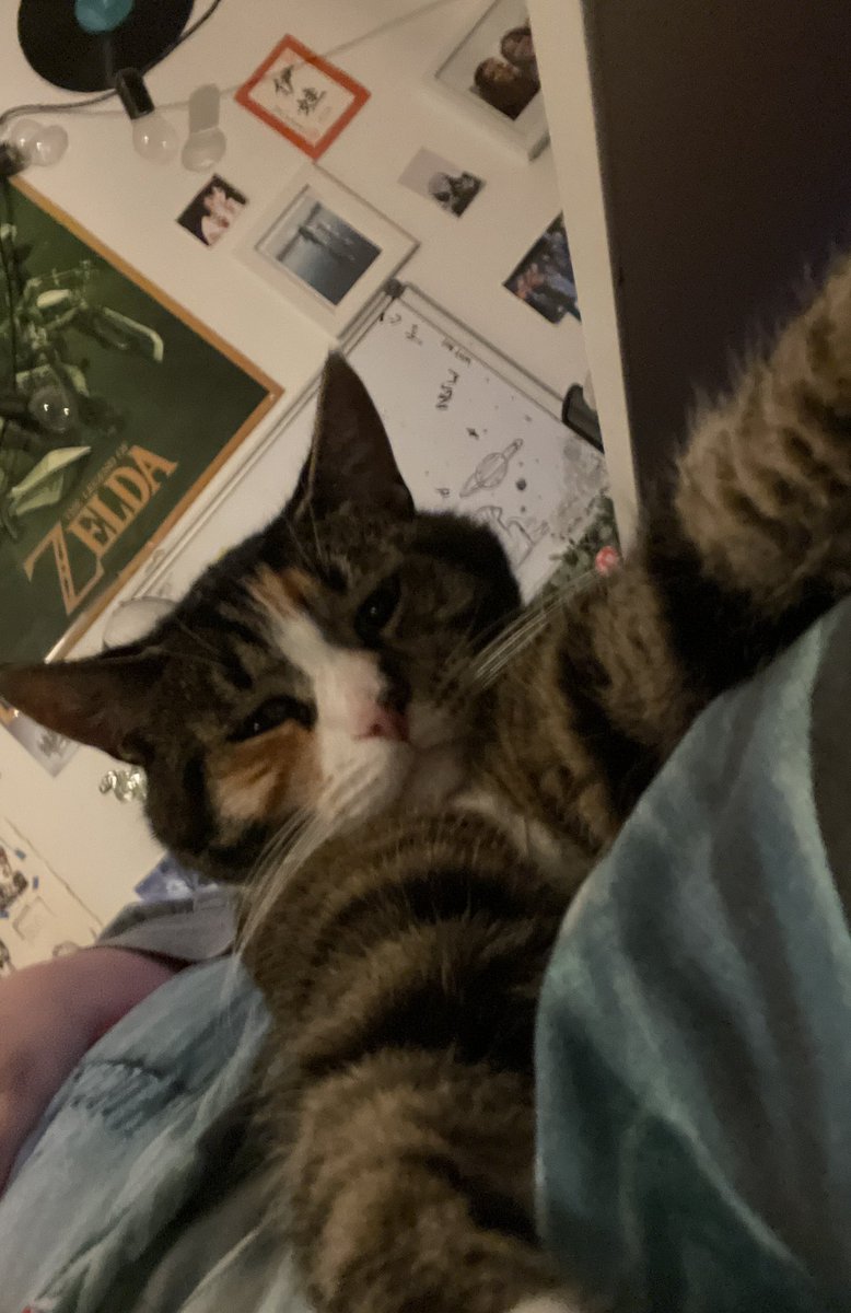 Sleepdevrived tweet picture