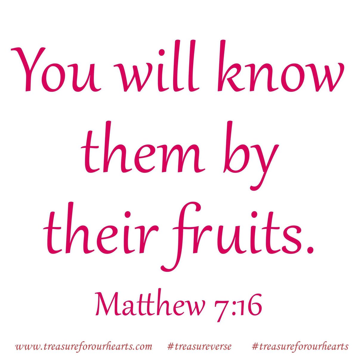 treasure4hearts's tweet photo. You will know them by their fruit . . #treasureforourhearts #treasureverse #treasureGodsword #Godspromises #scripture #bibleverse #dailyverse #treasureMatthew #nkjv #Matthew716 #bibleverseoftheday #Christian #believer #youwillknowthembytheirfruits #Gaither https://t.co/lMdVVpY8gV https://t.co/M5X9xswXda