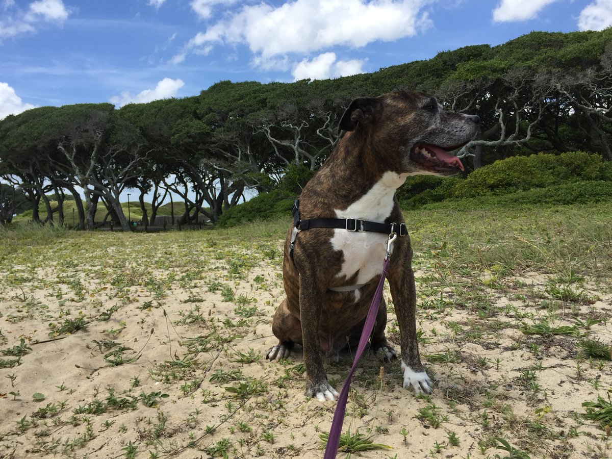 We're done with work for the day and ready to train for @RescueMe5k! 💪