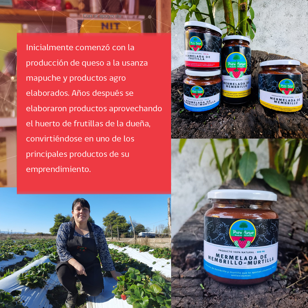 MurilloPartners's tweet photo. Productos Puro Amor, 🍓 un emprendimiento de mermeladas gourmet a base de productos naturales cosechados en Tierras Ancestrales Mapuches
#murilloypartners #corfo #emprendimientochile #mermeladasartesanales #productoartesanal #pymechilena #araucanía https://t.co/yeUE6Pc3Gj