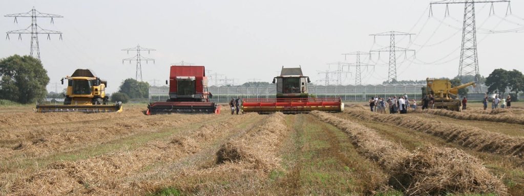 Mieneke9's tweet photo. Op naar een mooie oogstdag in Tinte a.s. zaterdag! De klompendansers zijn er klaar voor. Mooie dag voor jong en oud. #opdeboerderij https://t.co/6959JKqo7T