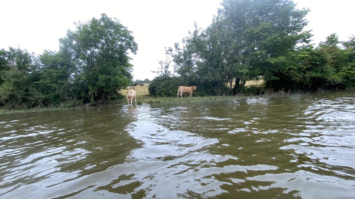 This is Edermine house, the former home of the <a href="/Powers_Whiskey/">POWERS Whiskey</a> family. I had a mini adventure kayaking on the Slaney today. It’s only a few minutes away from me but I don’t get down there too often. Great day for it.