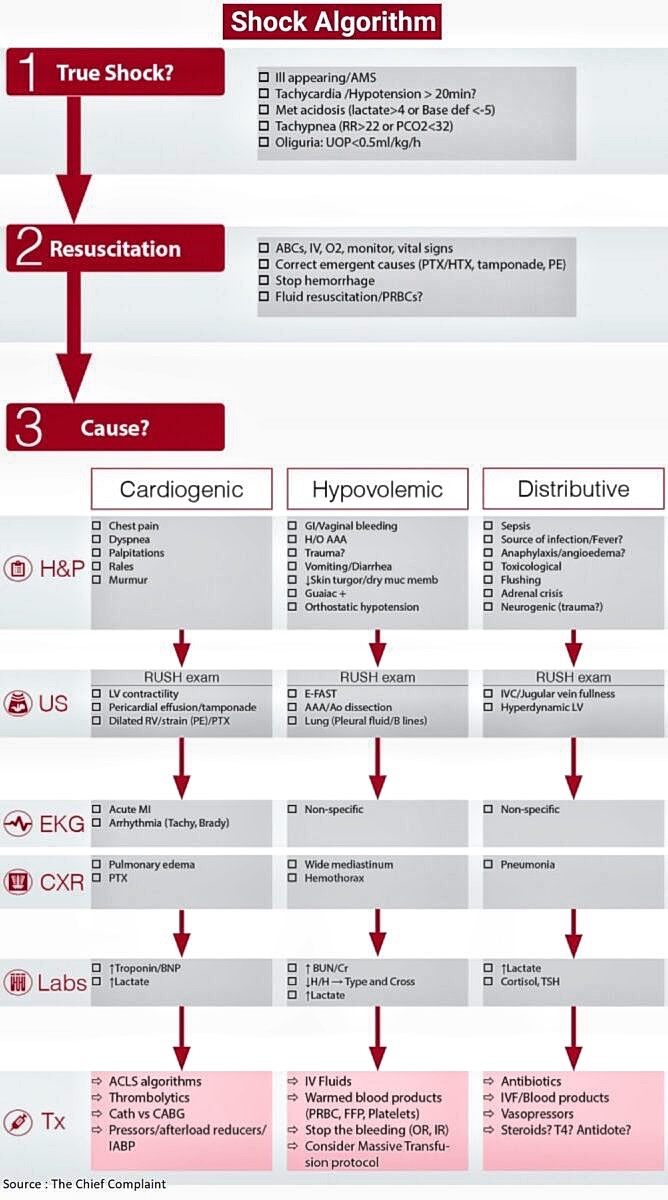 Journal of Brown Hospital Medicine (@brownjhm) on Twitter photo Shock Algorithm <a href="/thecfcomplaint/">The Chief Complaint</a> #BJHM #MedEd #Medtwitter #Shock #FOAMed #ICU #Criticalcare #Sepsis #medstudenttwitter Shock Algorithm <a href="/thecfcomplaint/">The Chief Complaint</a> #BJHM #MedEd #Medtwitter #Shock #FOAMed #ICU #Criticalcare #Sepsis #medstudenttwitter