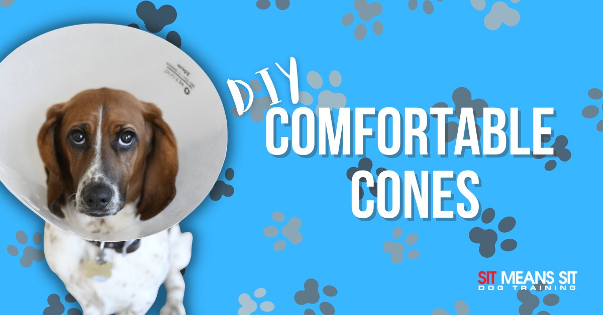 DogTraining_MI's tweet photo. DIY Dog Cones for More Comfort | https://t.co/peZ1xMbLM4 https://t.co/8pazLzFZbi