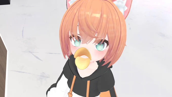今日のVRC。 
