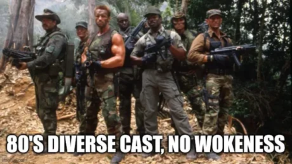 TheNzRocketeer's tweet photo. And they killed a predator. https://t.co/LwgE04pMF5