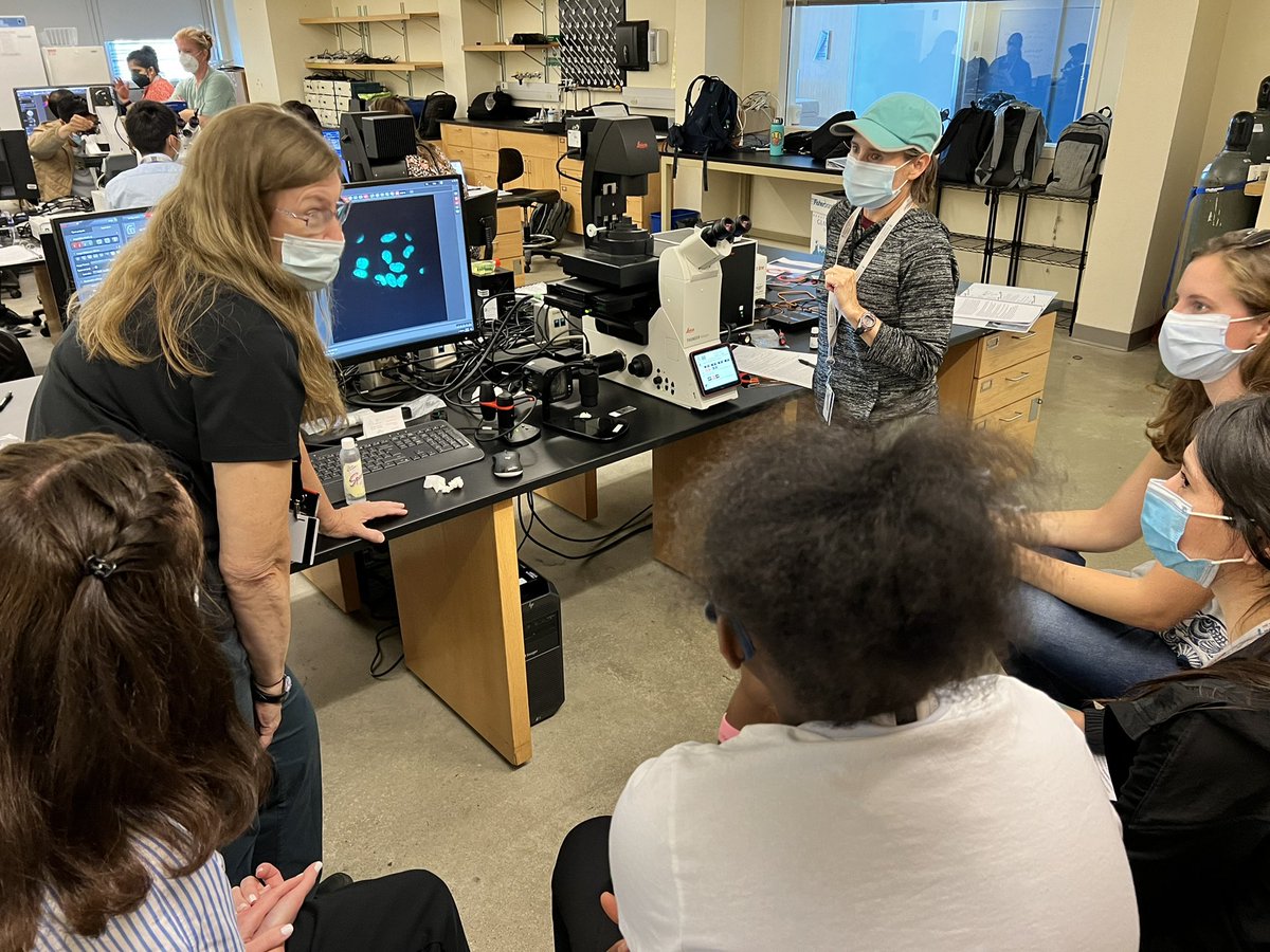 Optical Microscopy tweet media