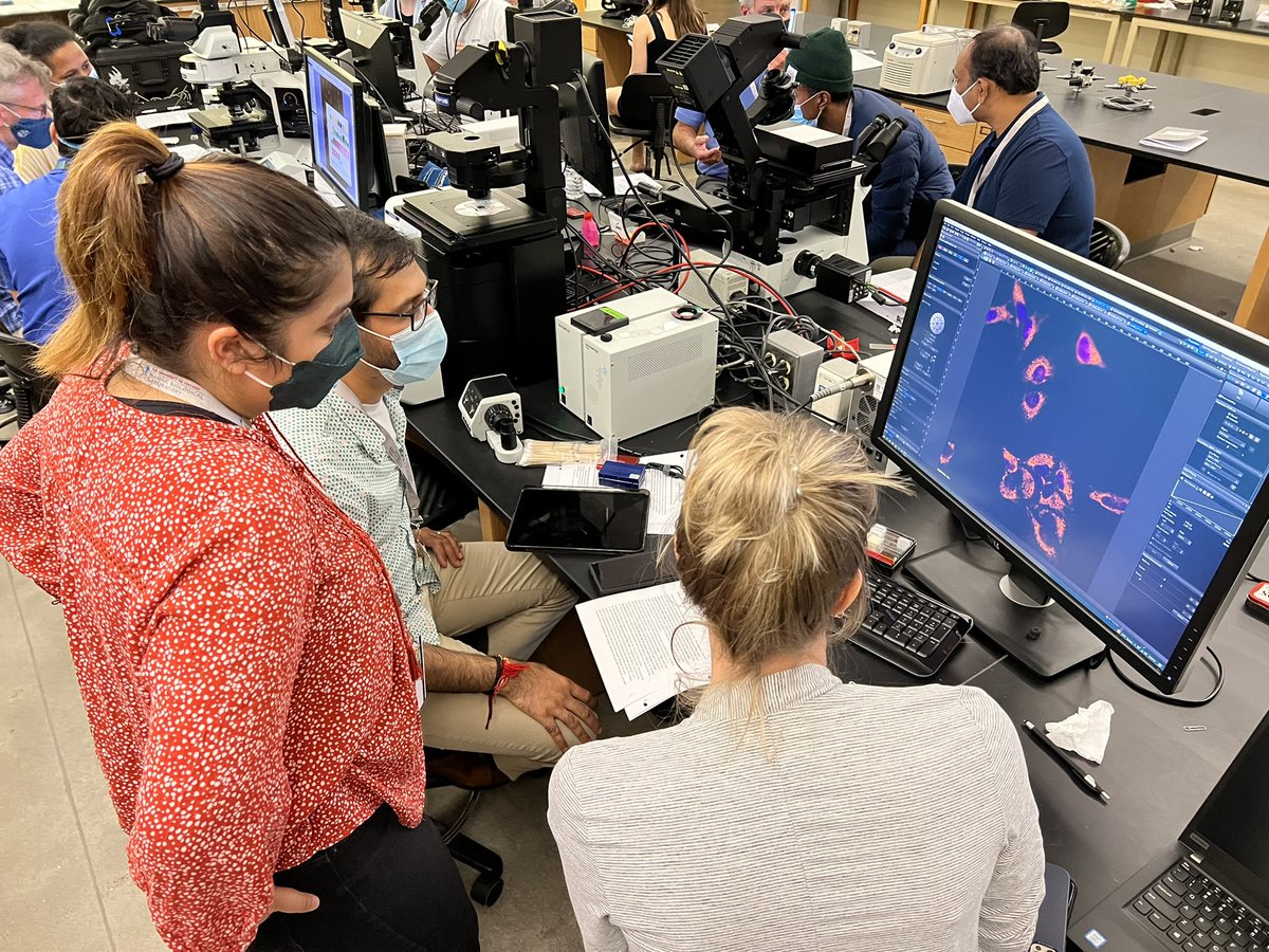 Optical Microscopy tweet media