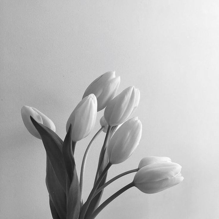 ｡ ও ˳  ｡ palabras poco conocidas, pero con un lindo significado – 𔘓