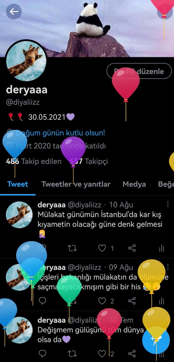 diyaliizz's tweet photo. Atanamadığım son doğum günü olman dileğiyle 🎊🎉🙏 https://t.co/7SljCEGpBQ