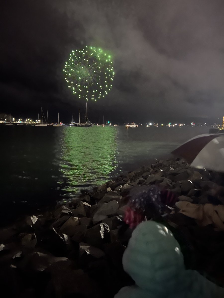 bigburycamping1's tweet photo. ⁦@PlymFireworks⁩ ⁦@Plymouth_Live⁩ ⁦@PlymCatte⁩  great viewing from QAB even in the mizzly weather.  
#plymouthoceancity  
#britishfireworkschampionship   
#plymouth 
Tired children &amp; slow traffic…. https://t.co/yNHU5RCRXN