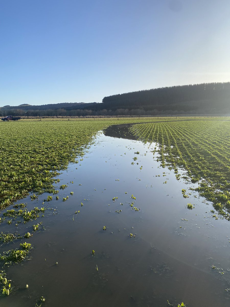 Robbie Tole tweet media