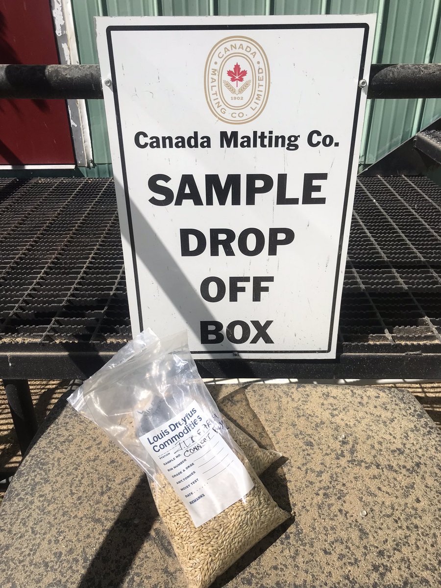 First selections of 2022 for canada malt courtesy of curio consulting. 10.5pro 13.5mst 94plump #connectingpartners