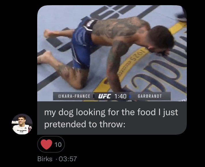 chickennugetz19's tweet photo. @BorrachinhaMMA @marshallinu_ https://t.co/EdD3kWBT5j