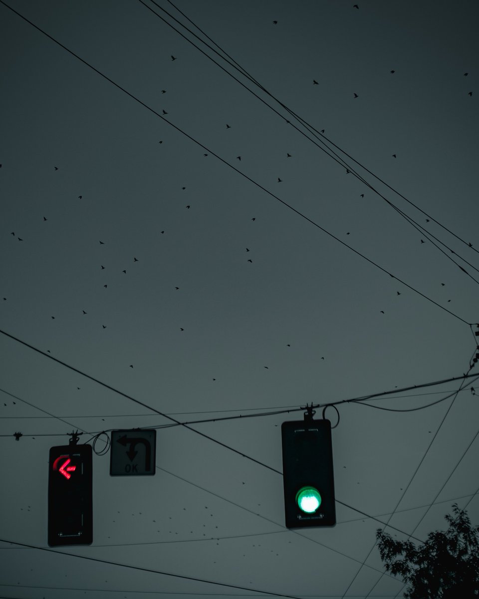 #trafficlight #photography  #moodyphotography