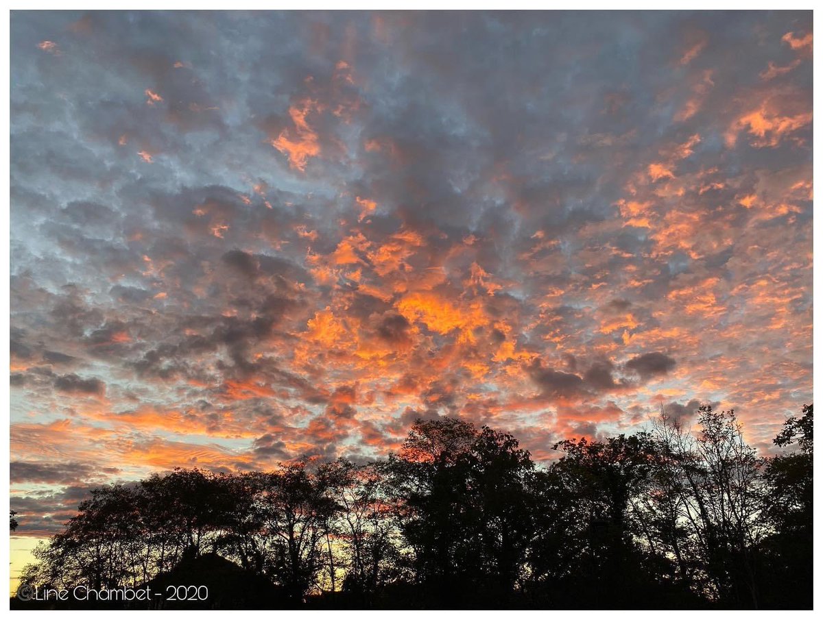 Line_Anakin's tweet photo. 📷 par moi-même.. #ciel #cloudsonfire #crépuscule #nature #allier #auvergne #france #photographie #byme #iphone12promax
📷 2 years ago.. https://t.co/IBIbSCky1n