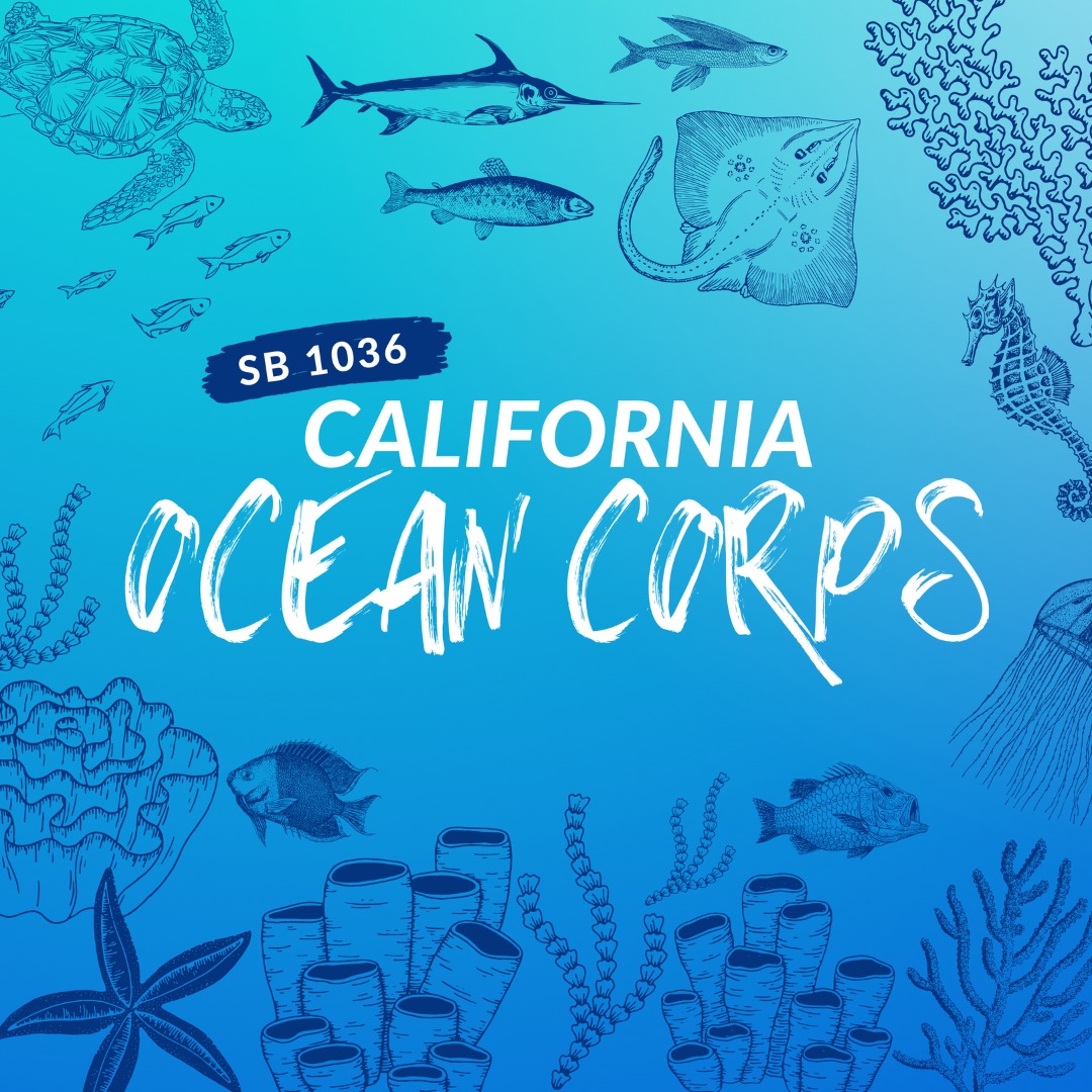 HireYouth's tweet photo. We are thrilled to share that #SB1036 has passed on the Assembly Floor and is headed to the Governor's Desk! Thanks to @JoshNewmanCA for authoring this bill, @AsmCottie for presenting, and all those who co-authored &amp; supported SB 1036! 🌊 
.
#OcCorps #OceanCorps #CALeg https://t.co/oZemnM1EFG