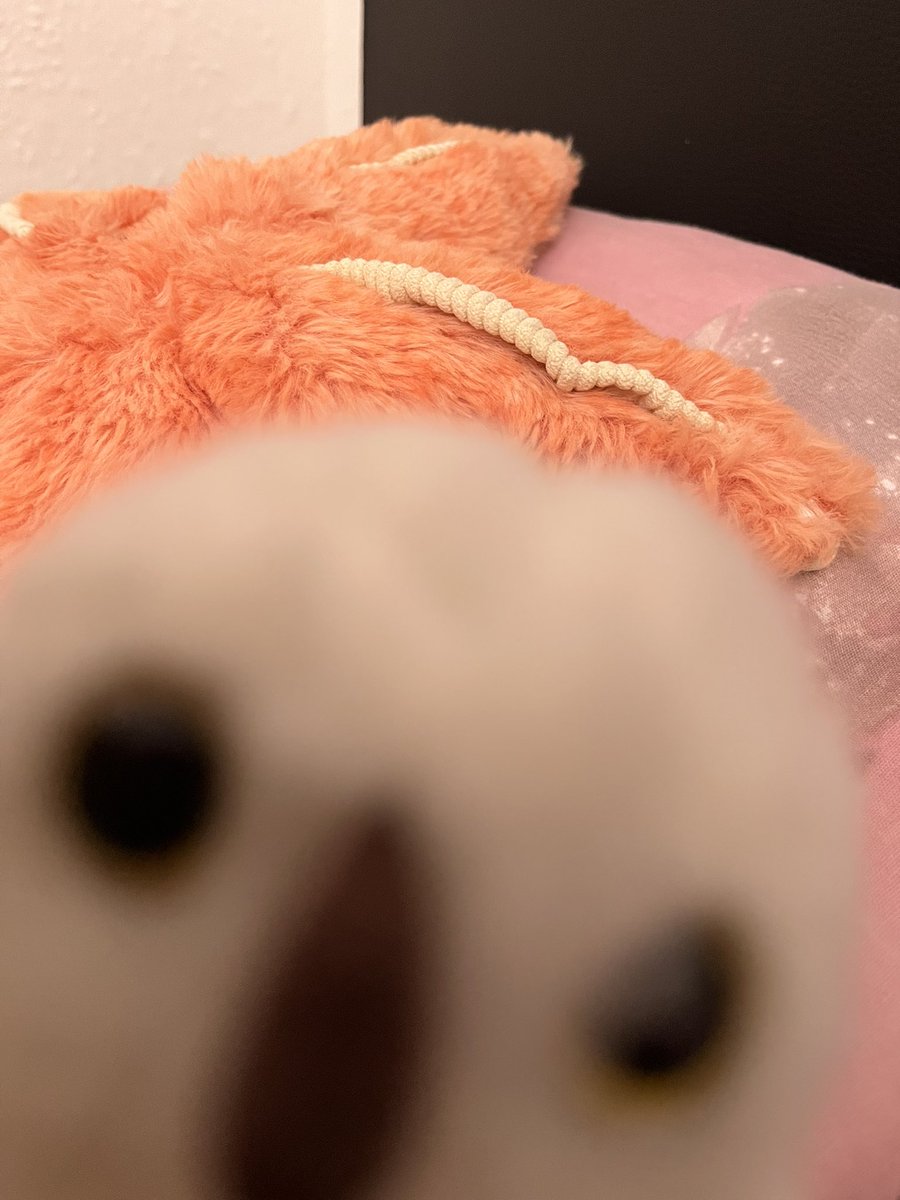 BuboAndFriends's tweet photo. First selfie with popi https://t.co/awzU1dE02j